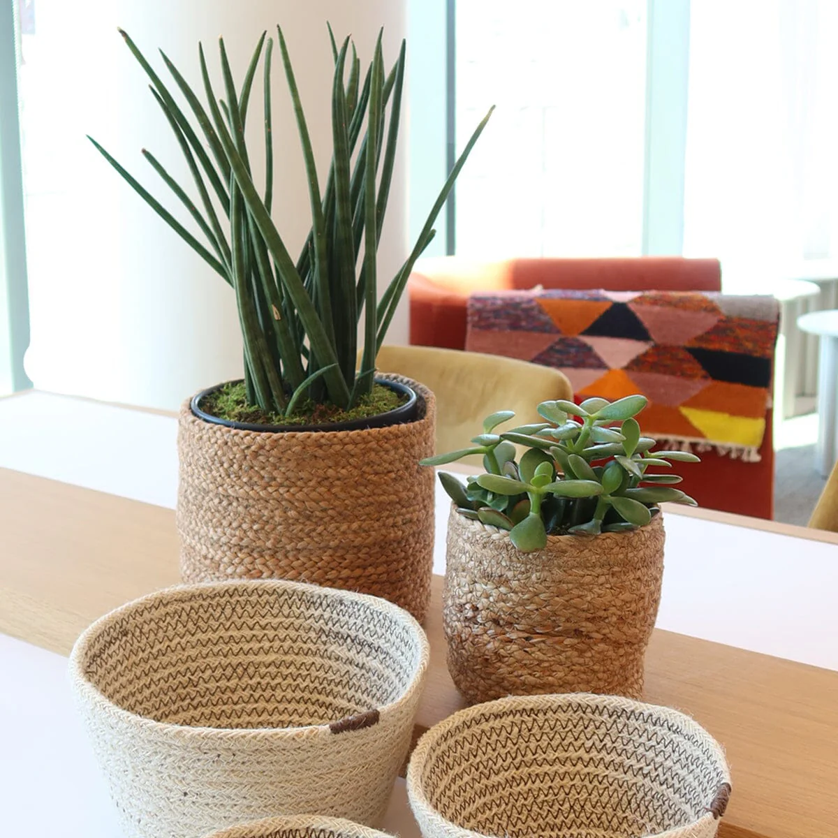 Kata Bin by KORISSA - Image 16